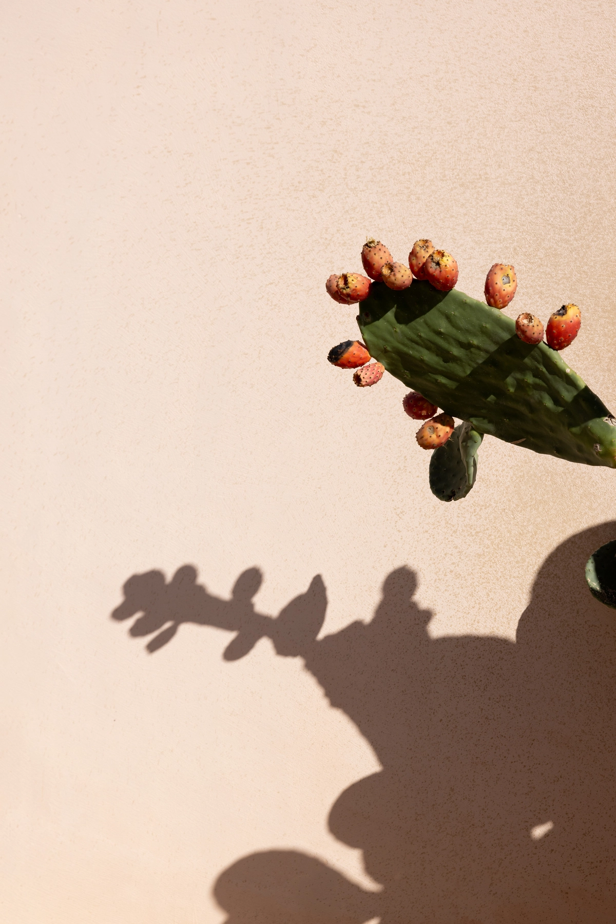 editorial-destination-wedding-sicile-marion-fort-240