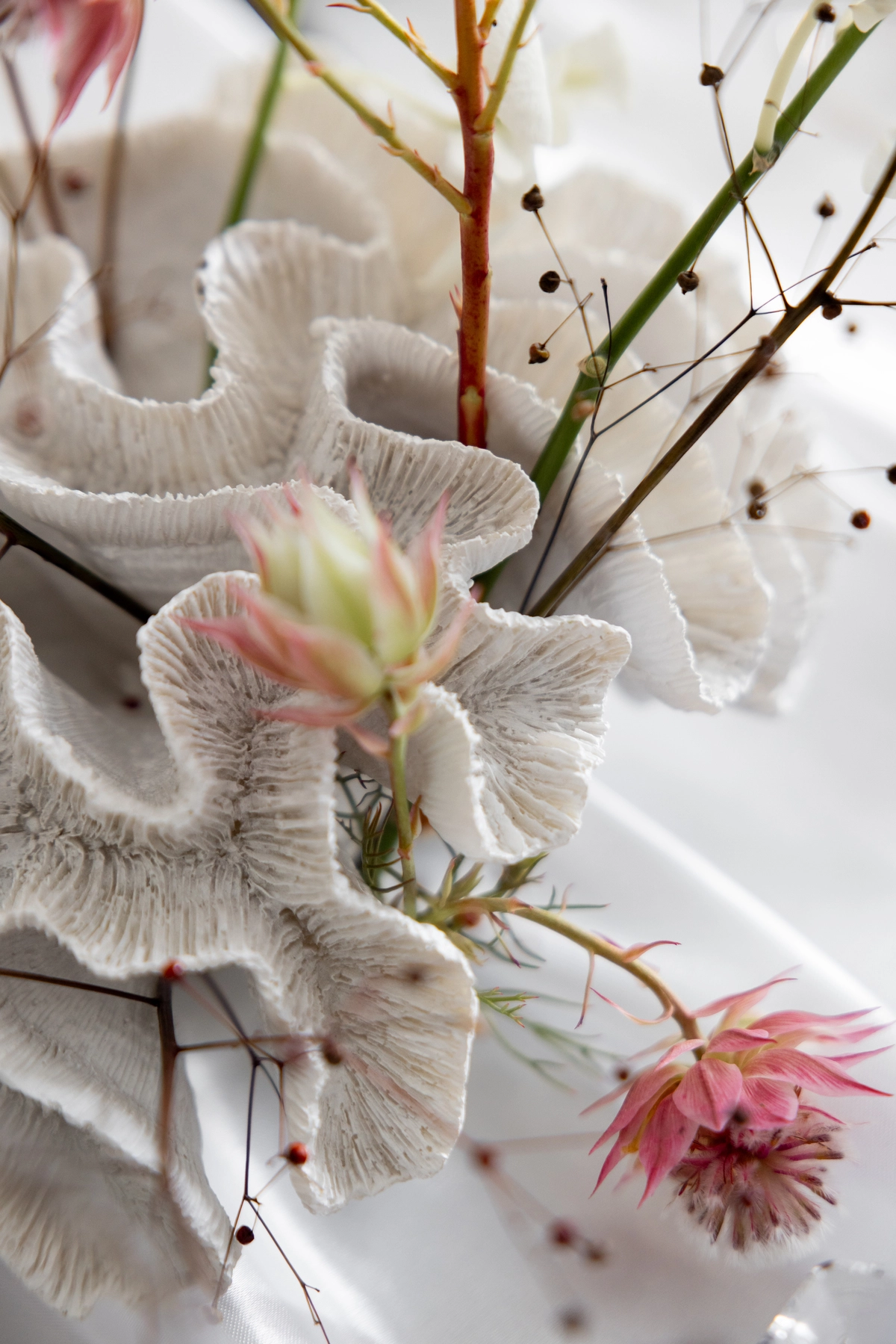 editorial-organic-moccha-signature-normandy-marion-fort-135