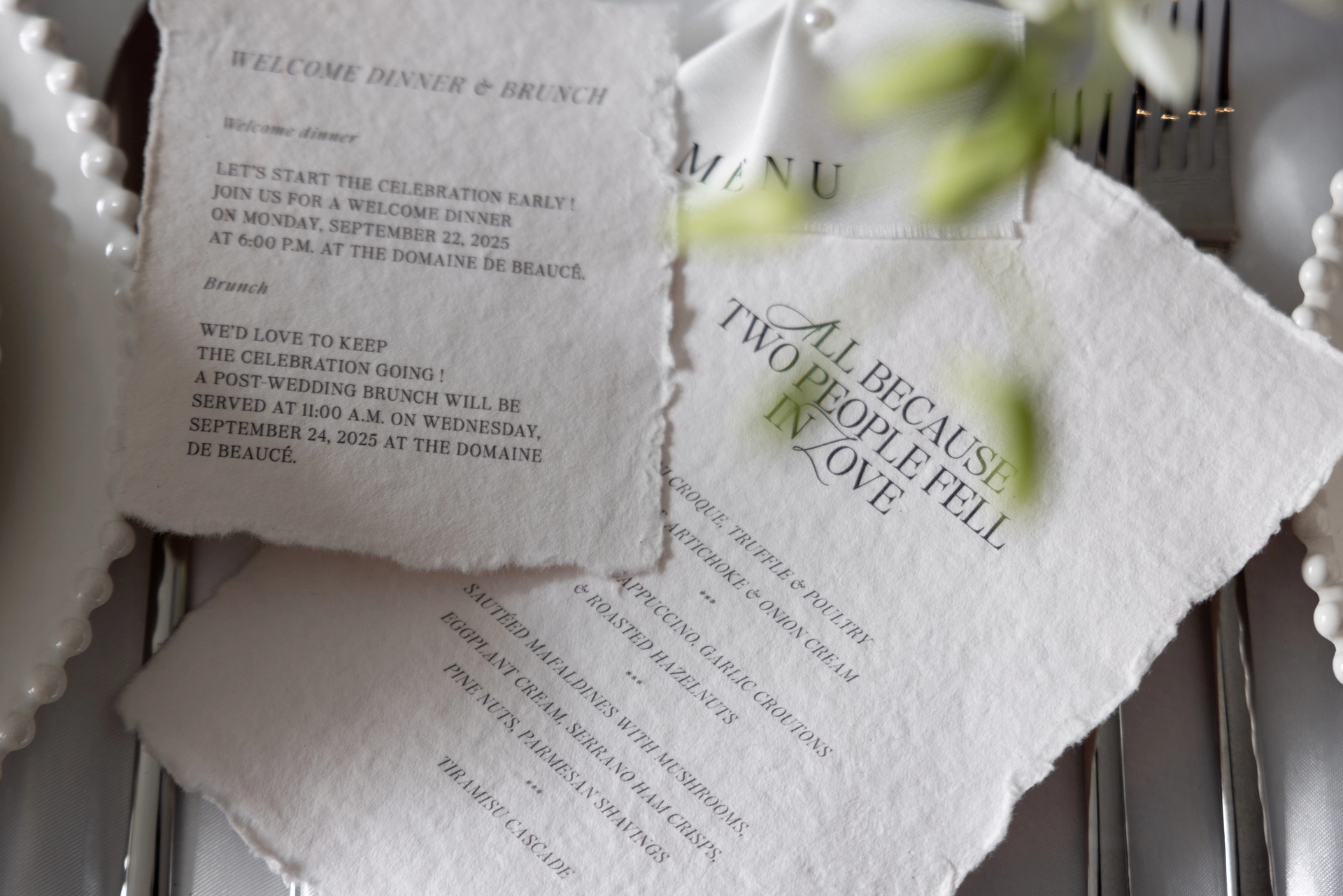 editorial-organic-moccha-signature-normandy-marion-fort-156