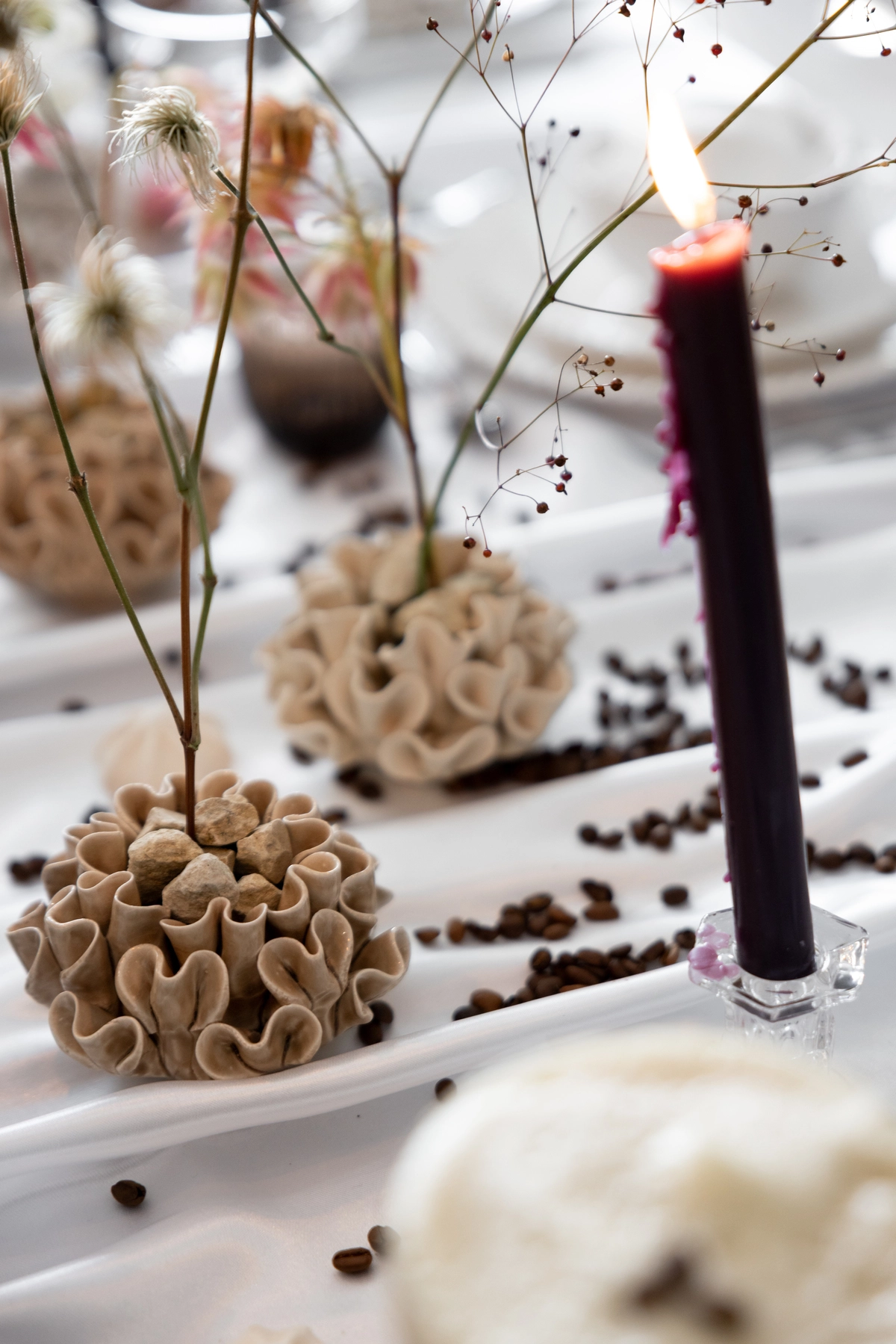 editorial-organic-moccha-signature-normandy-marion-fort-197