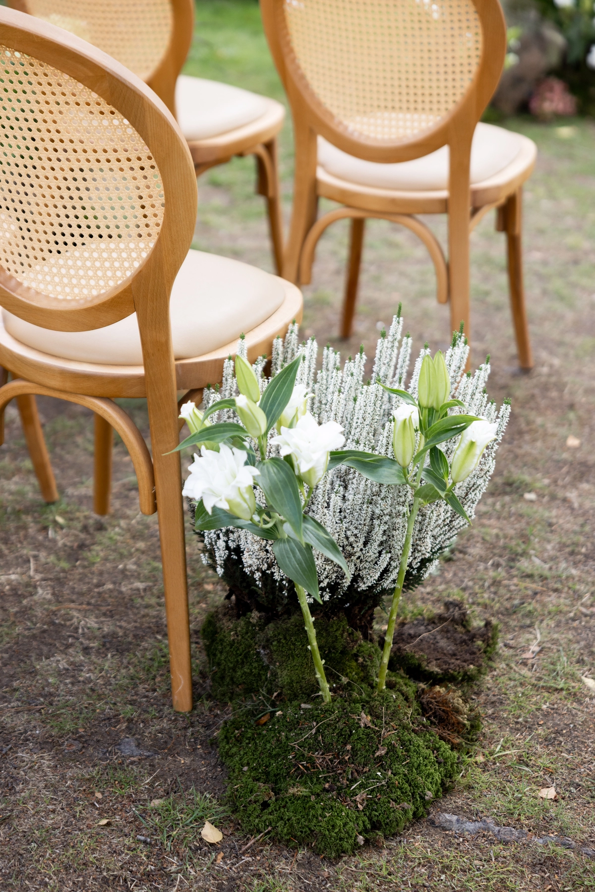 editorial-organic-moccha-signature-normandy-marion-fort-20