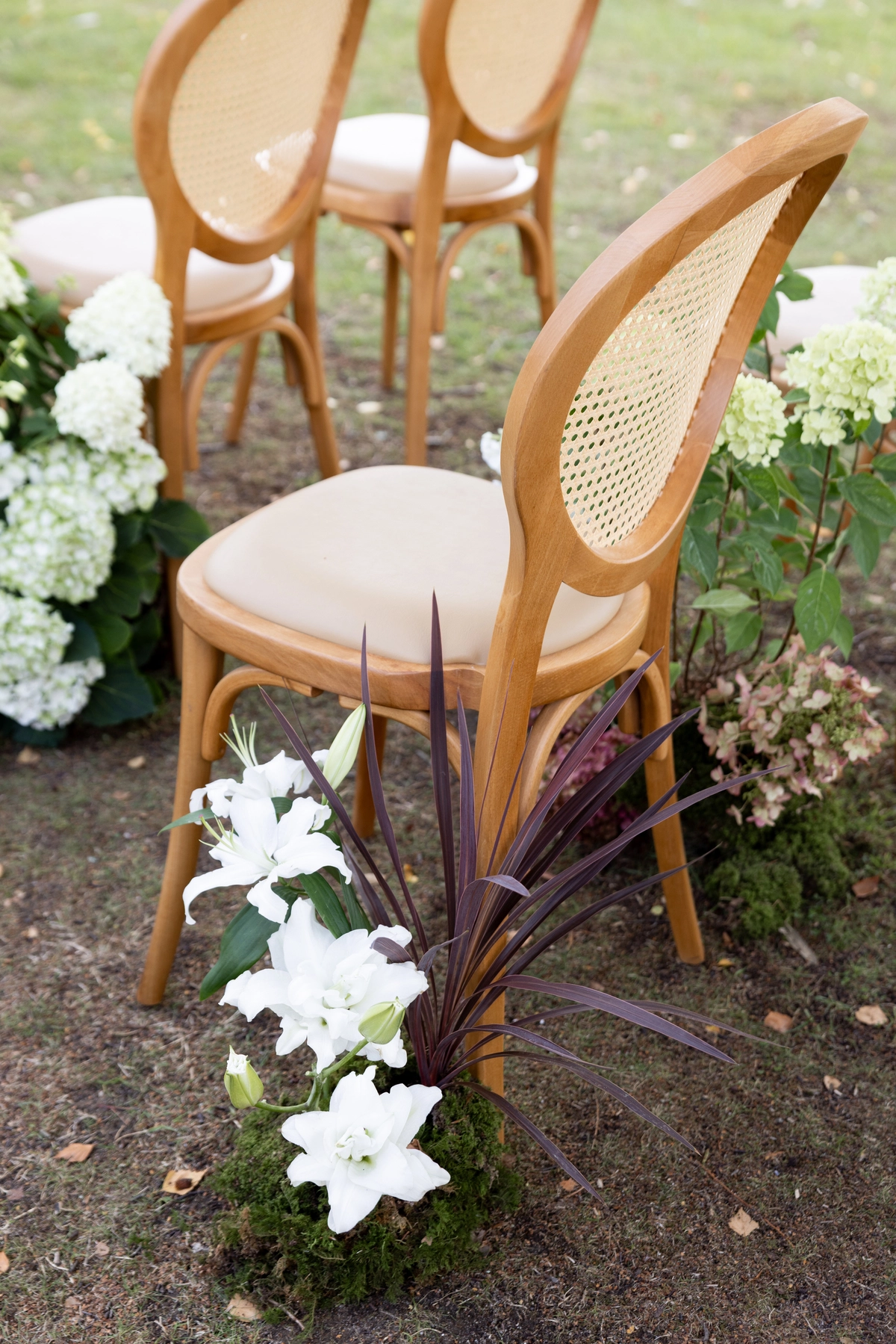 editorial-organic-moccha-signature-normandy-marion-fort-21