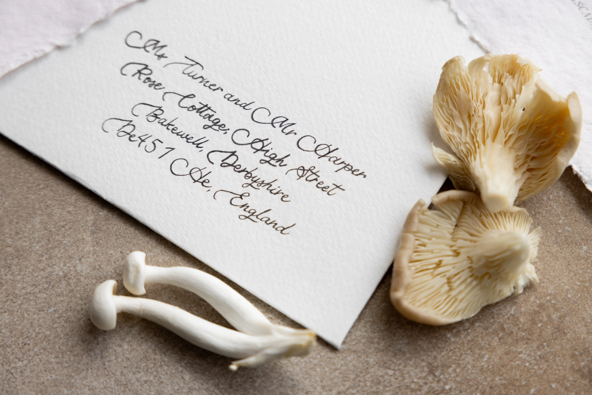 editorial-organic-moccha-signature-normandy-marion-fort-36