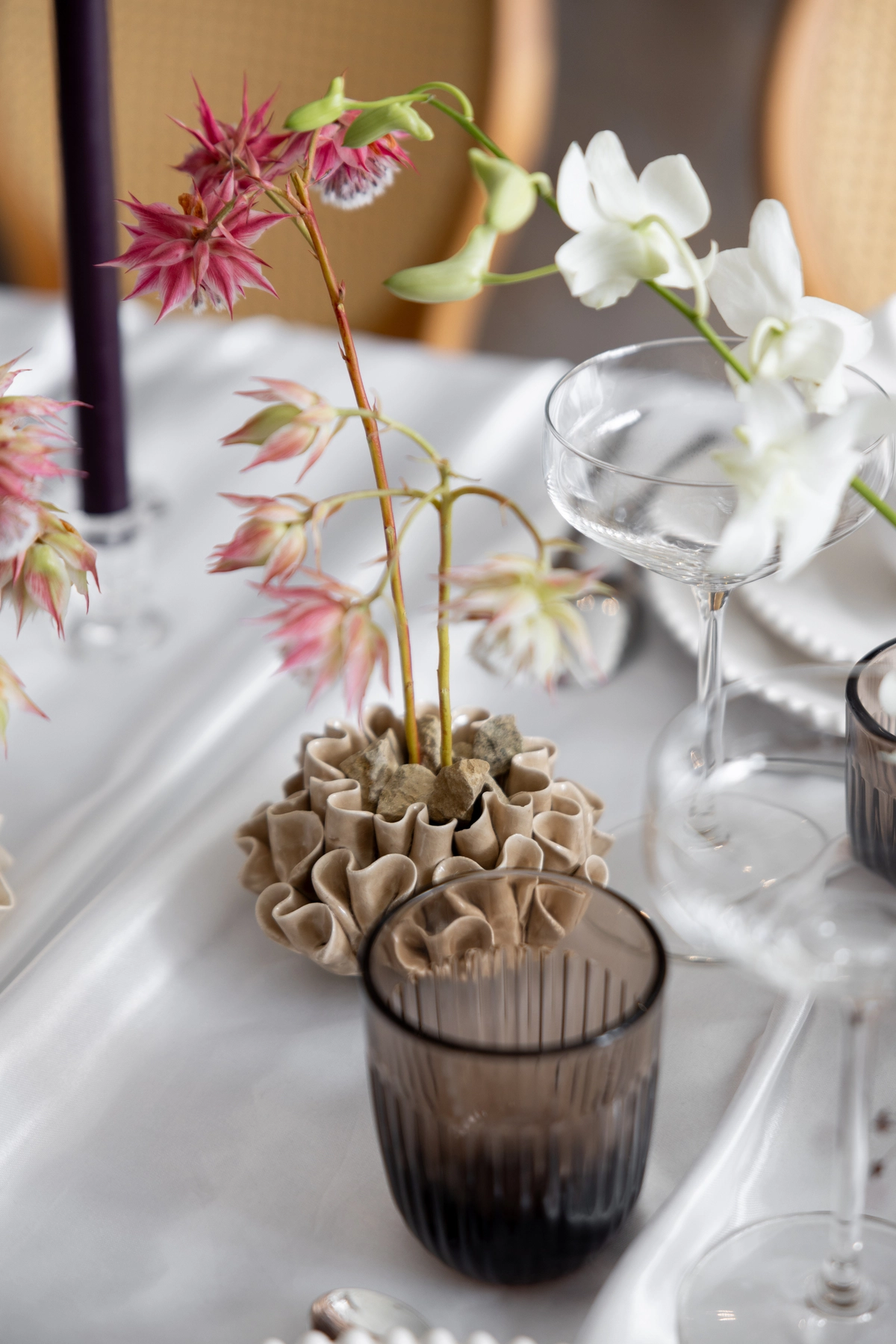 editorial-organic-moccha-signature-normandy-marion-fort-93