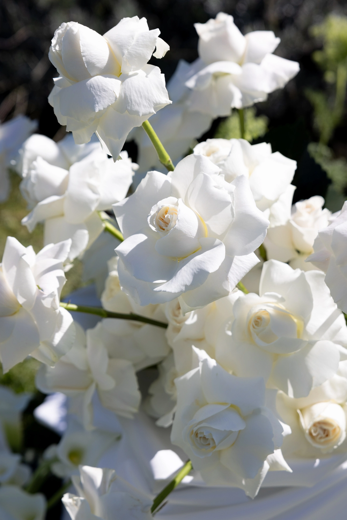 mariage-elegant-moderne-provence-marion-fort-22