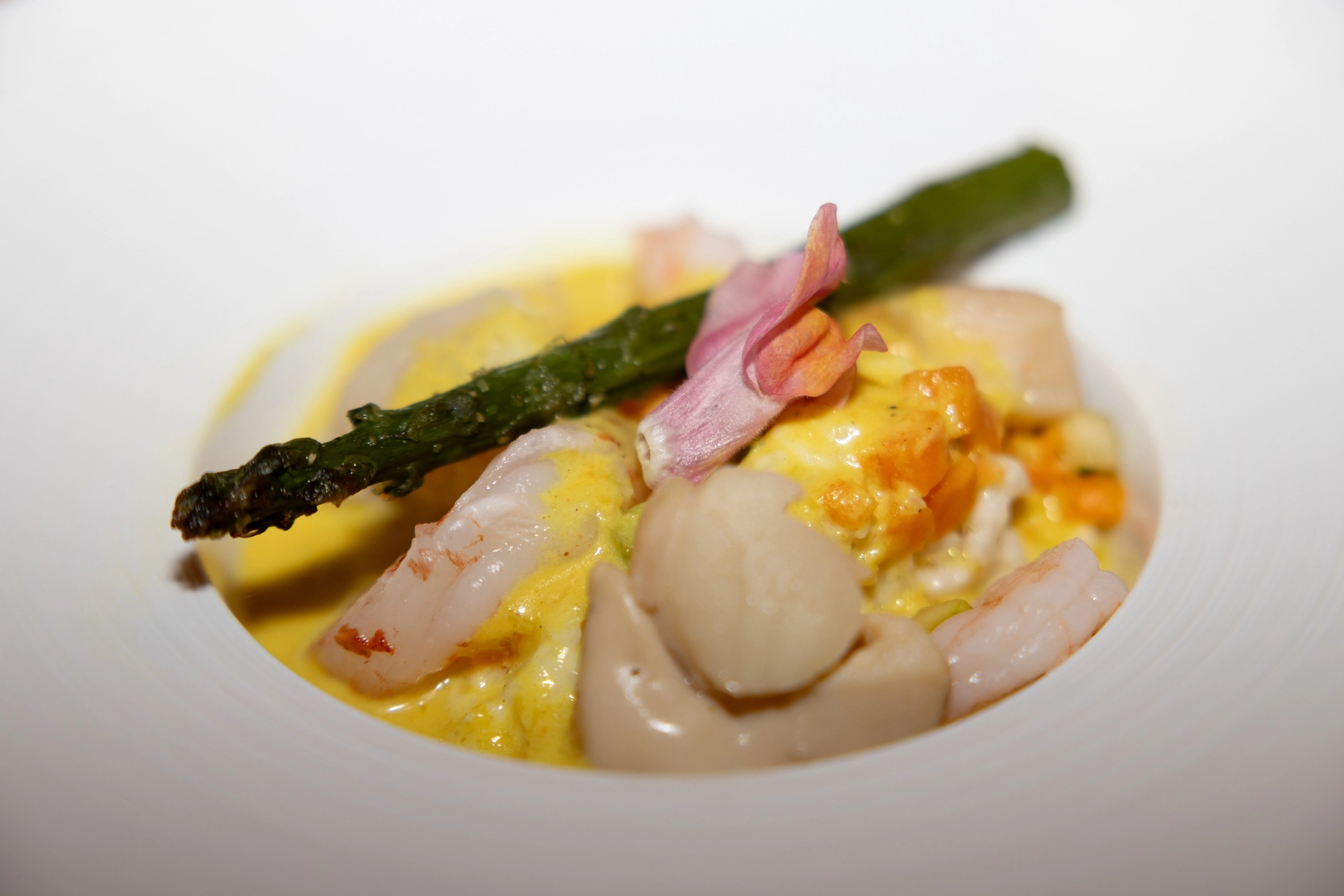 mariage-elegant-moderne-provence-marion-fort-298