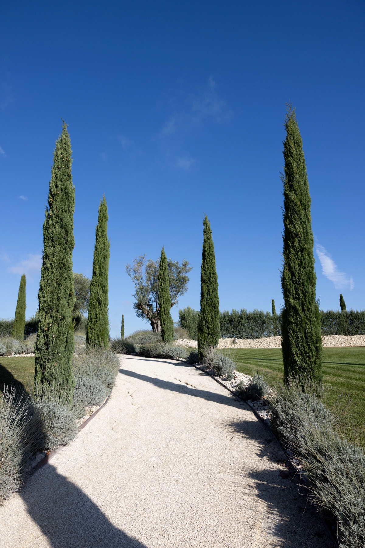 mariage-elegant-moderne-provence-marion-fort-6