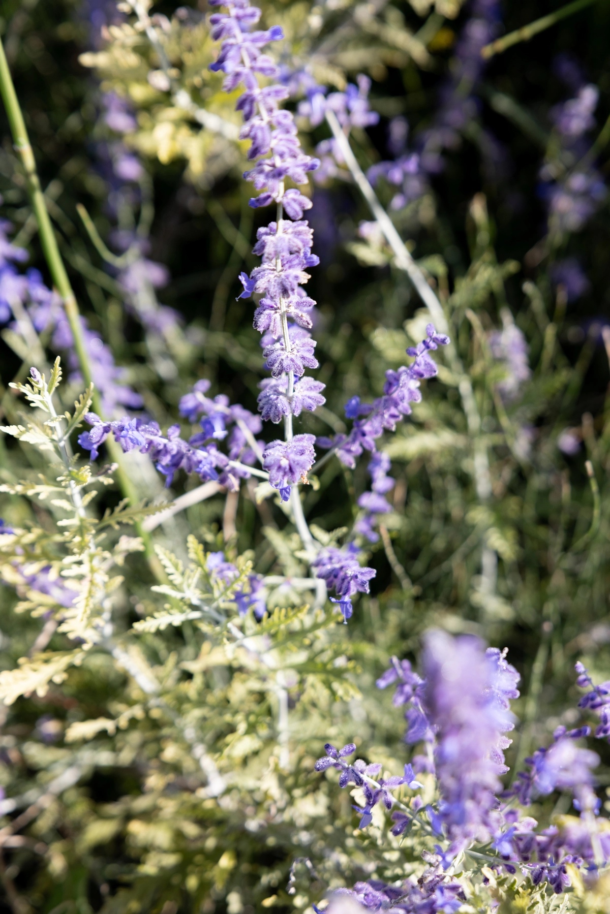 mariage-elegant-moderne-provence-marion-fort-7